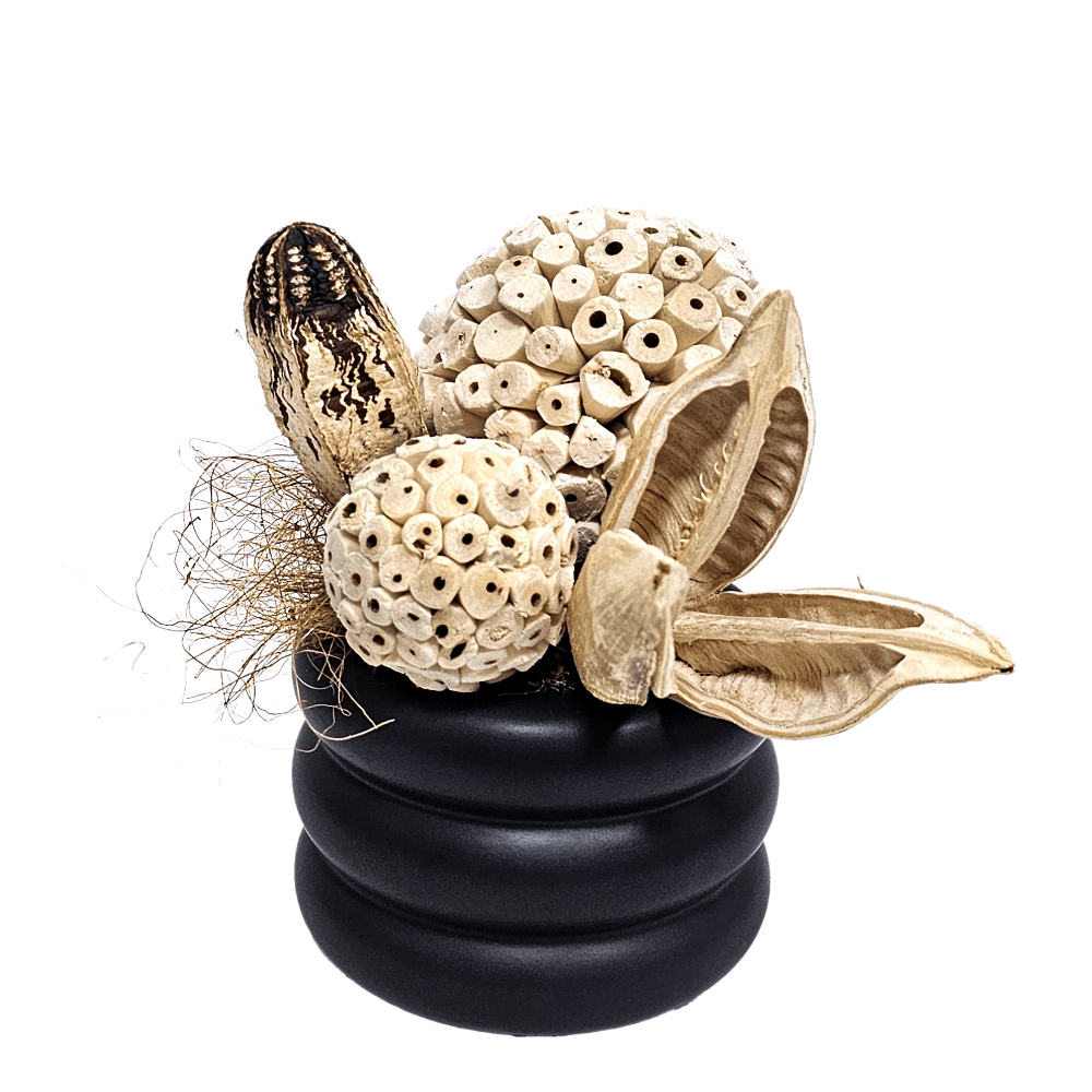 Sora Pod, Spheres and Coxcomb in Ribbed Container. 8"H - LDF SilkArtificial Flora