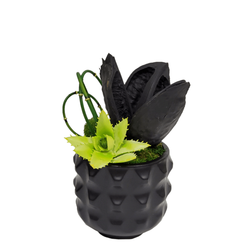 Sora Pod with Citron Succulent and Looped Water Bamboo in Ceramic. FD: 8"H - LDF Silk