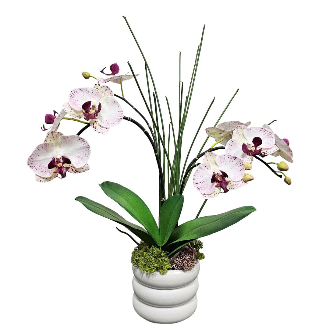 Speckled Phalaenopsis Orchids with Leaves and Sedum in Ceramic. FH: 25" - LDF SilkArtificial Flora