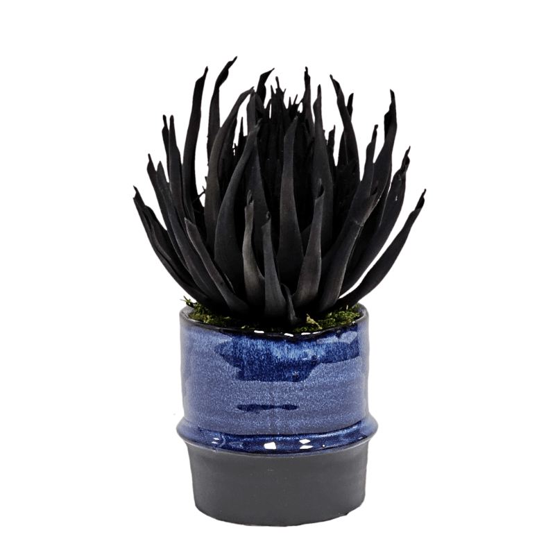 Spiky Stem in Ceramic Container. FH:9" - LDF Silk