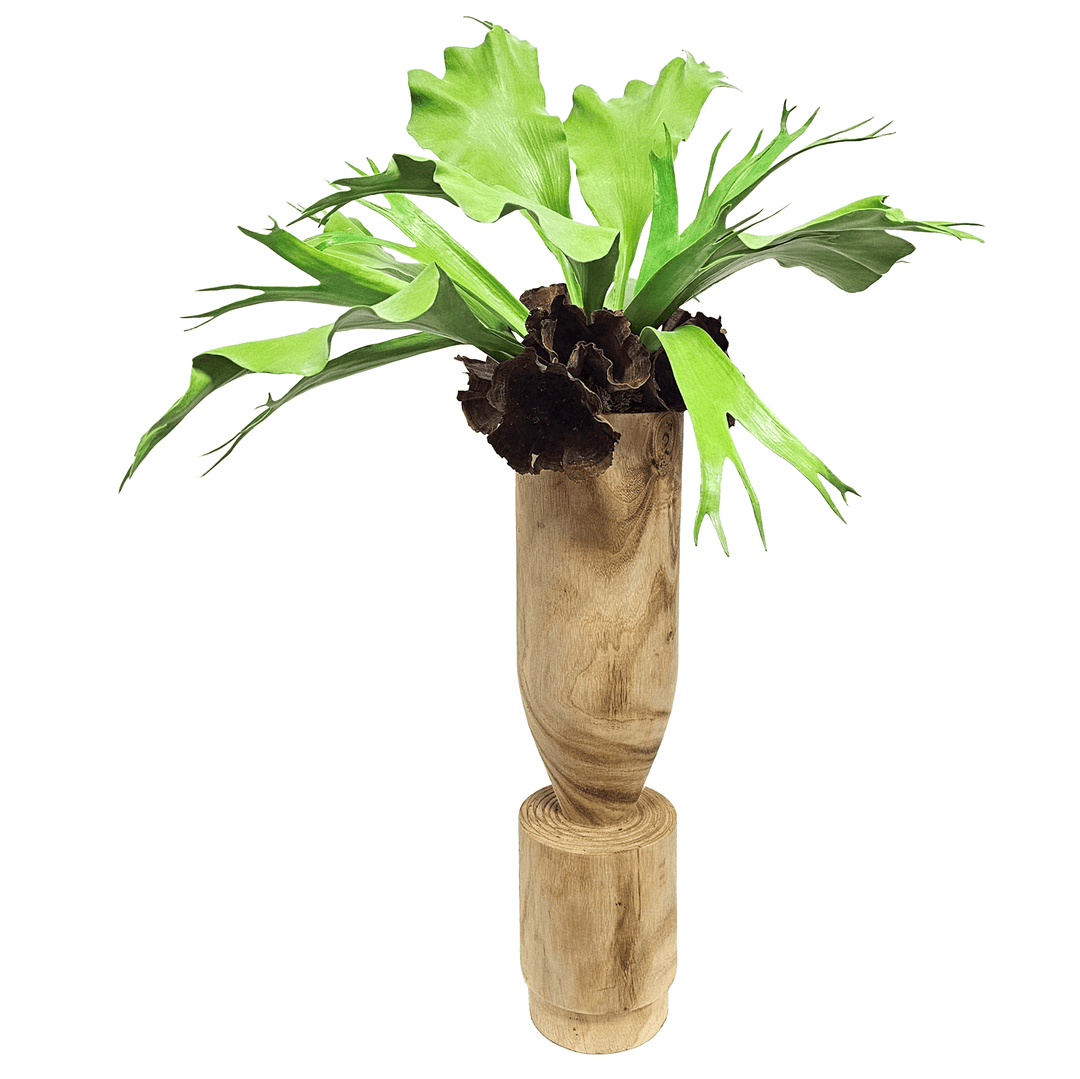 Staghorn Fern and Calice in Wood Container. FH: 48"H - LDF SilkArtificial Flora