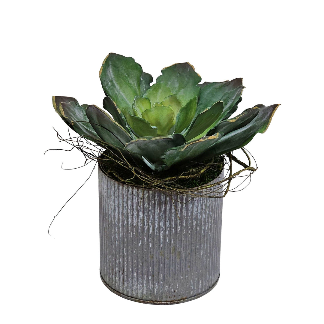 Succulent in Metal Container 8.5"H - LDF Silk