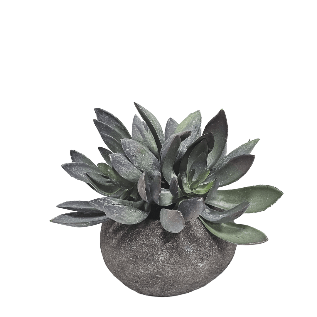 Succulent in Small Rock Pot. FH:4.5" - LDF SilkArtificial Flora
