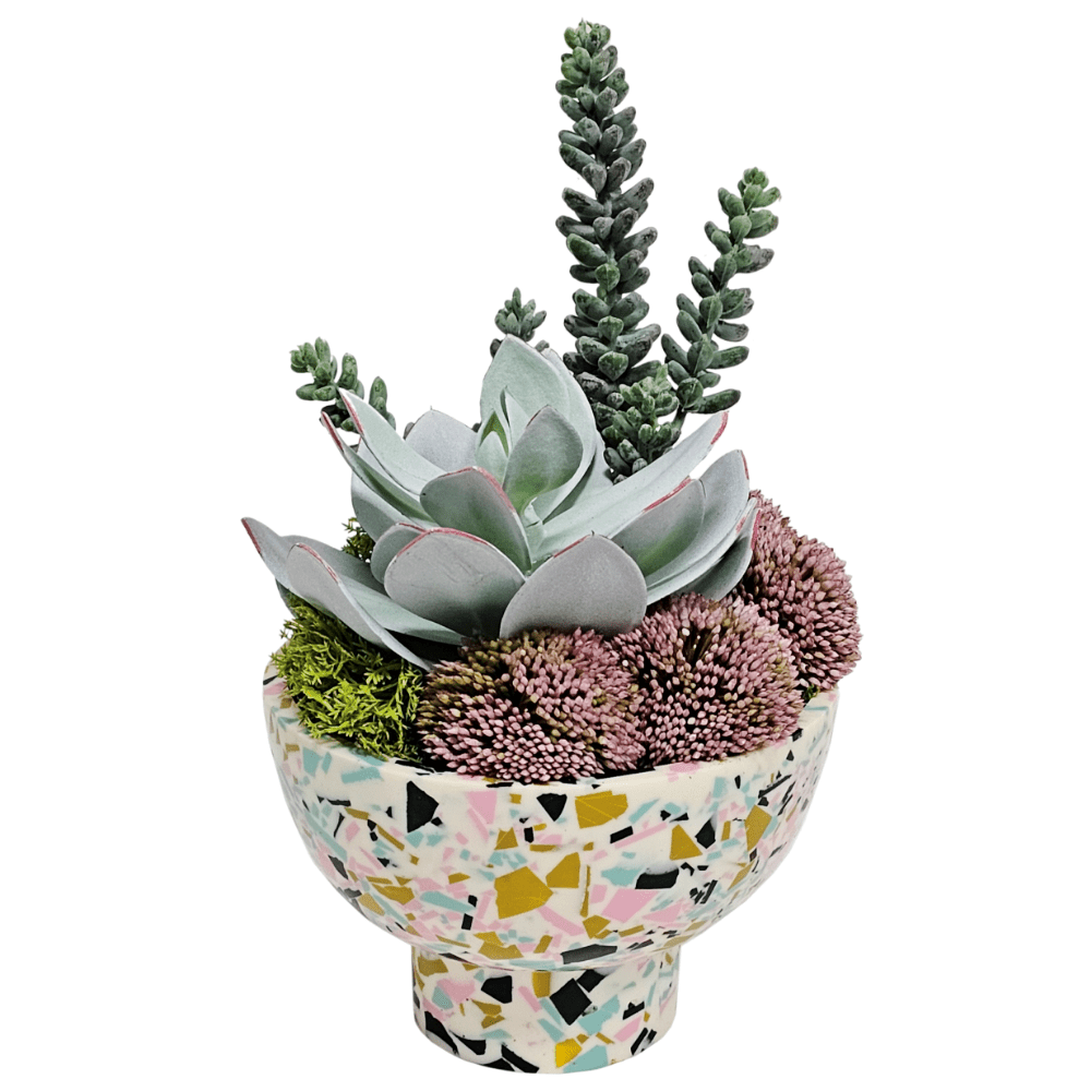 Succulent Mix in Bowl FH: 10" - LDF Silk