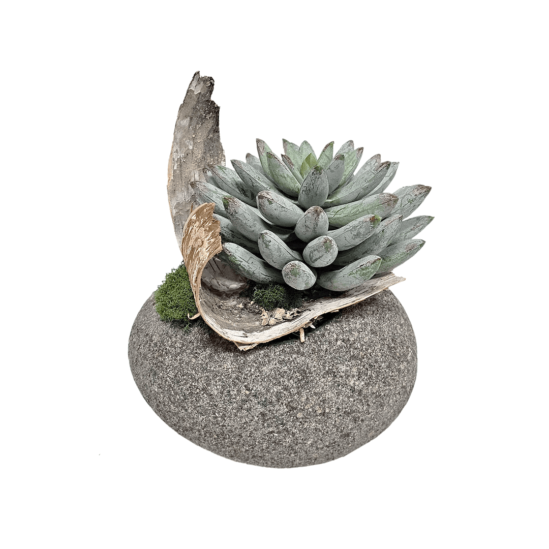 Succulent with Birch Accent in River Stone Pot. FH:8" - LDF SilkArtificial Flora