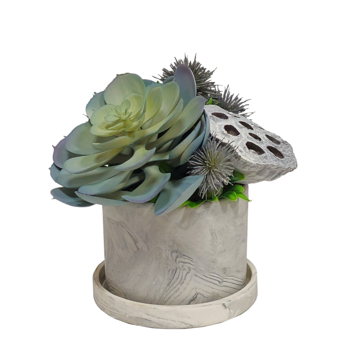 Succulent with Lotus Pod in Ceramic FH: 6" - LDF Silk