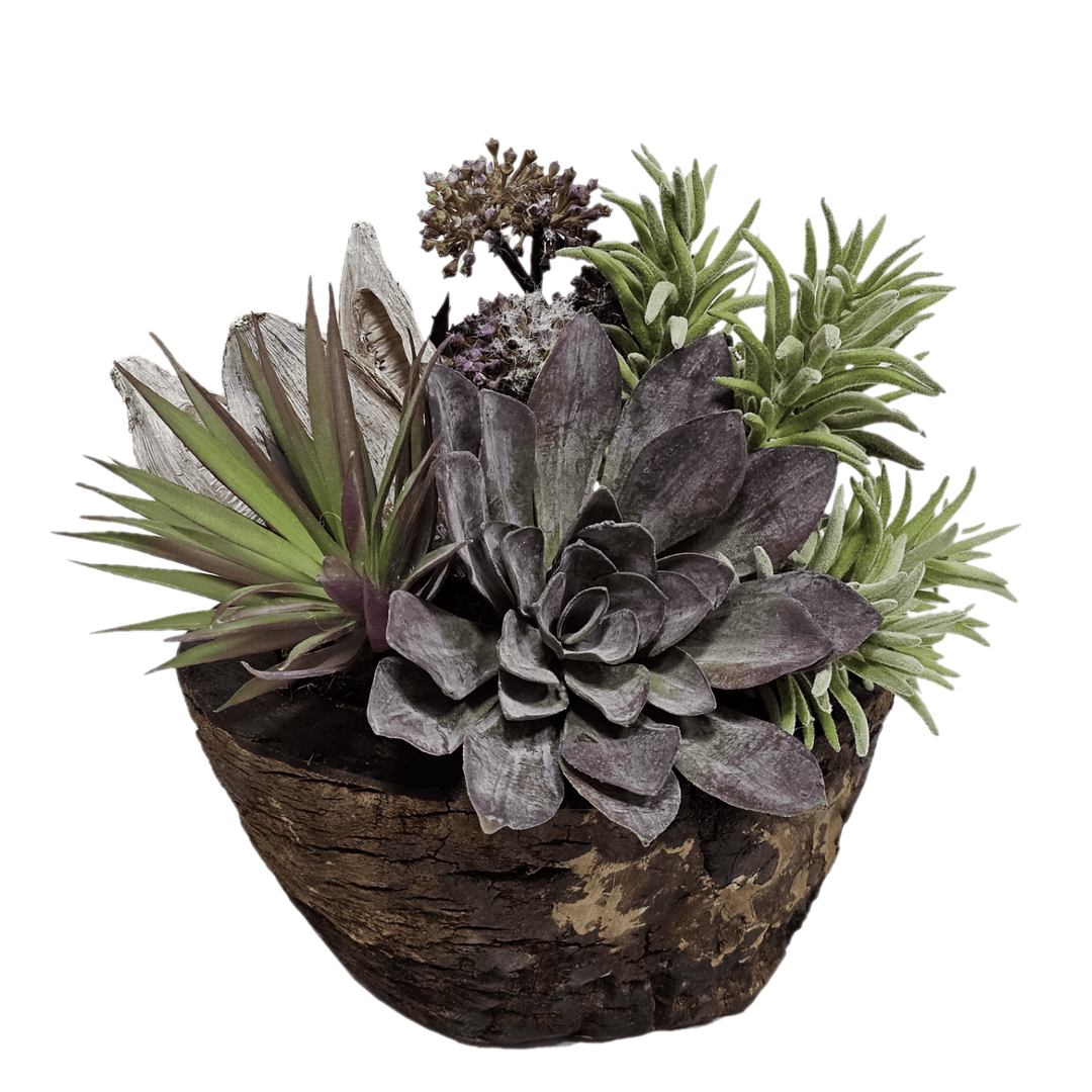 Succulent with Sora Pod and Succulents in Bowl FH: 9.5" - LDF Silk