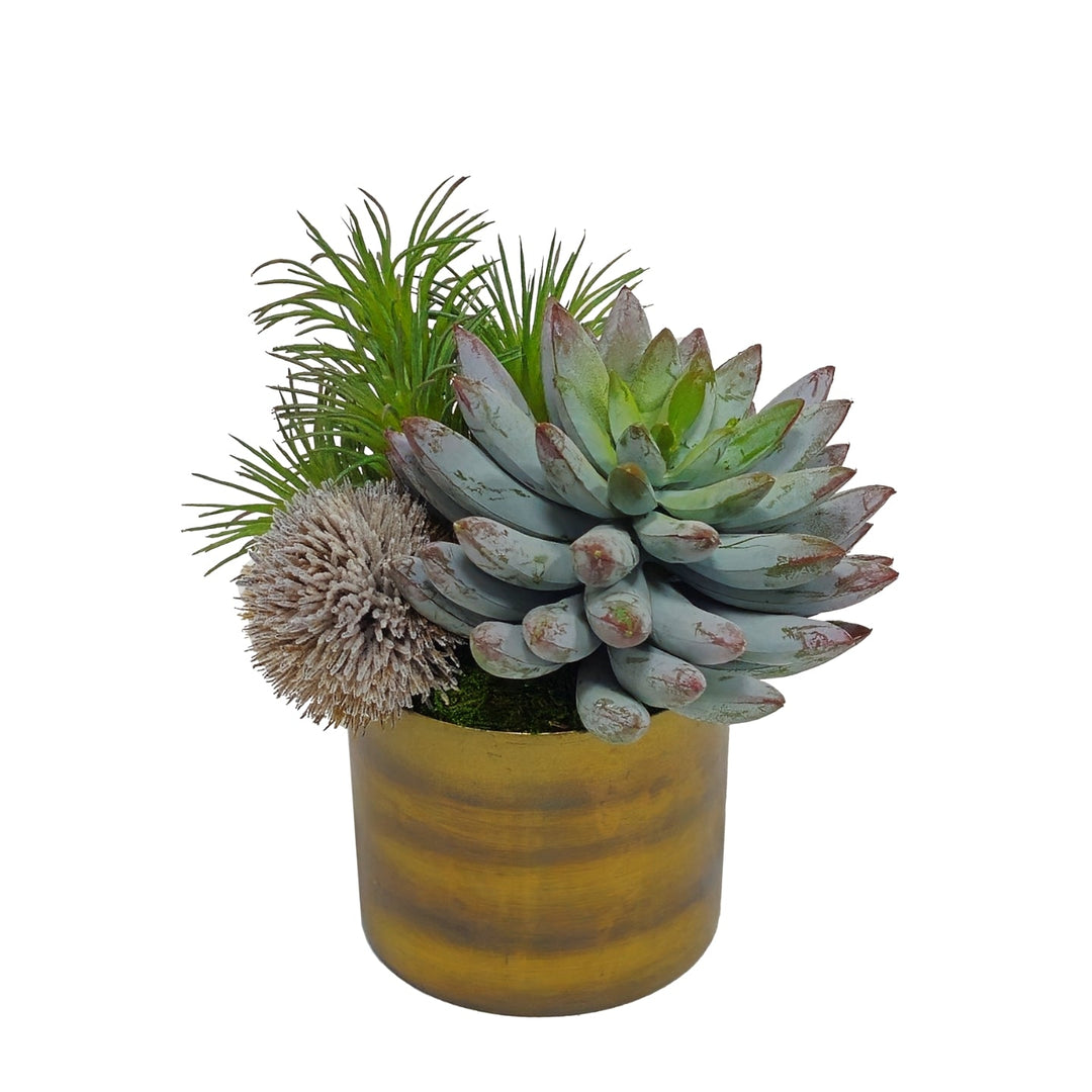 Succulent with Tillandsia in Container FH: 6" - LDF Silk