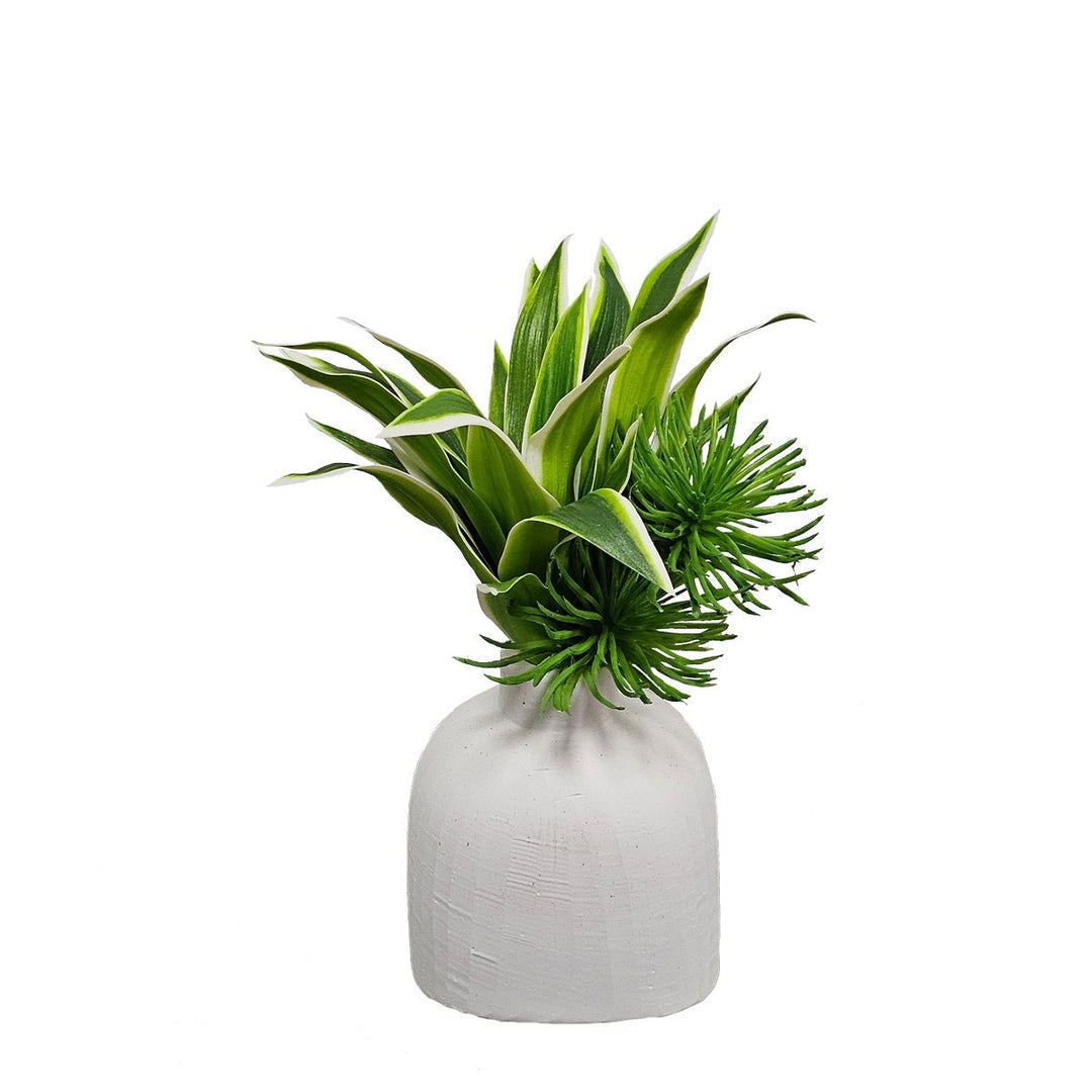 Succulents in Ceramic Vase. FH: 8" - LDF Silk
