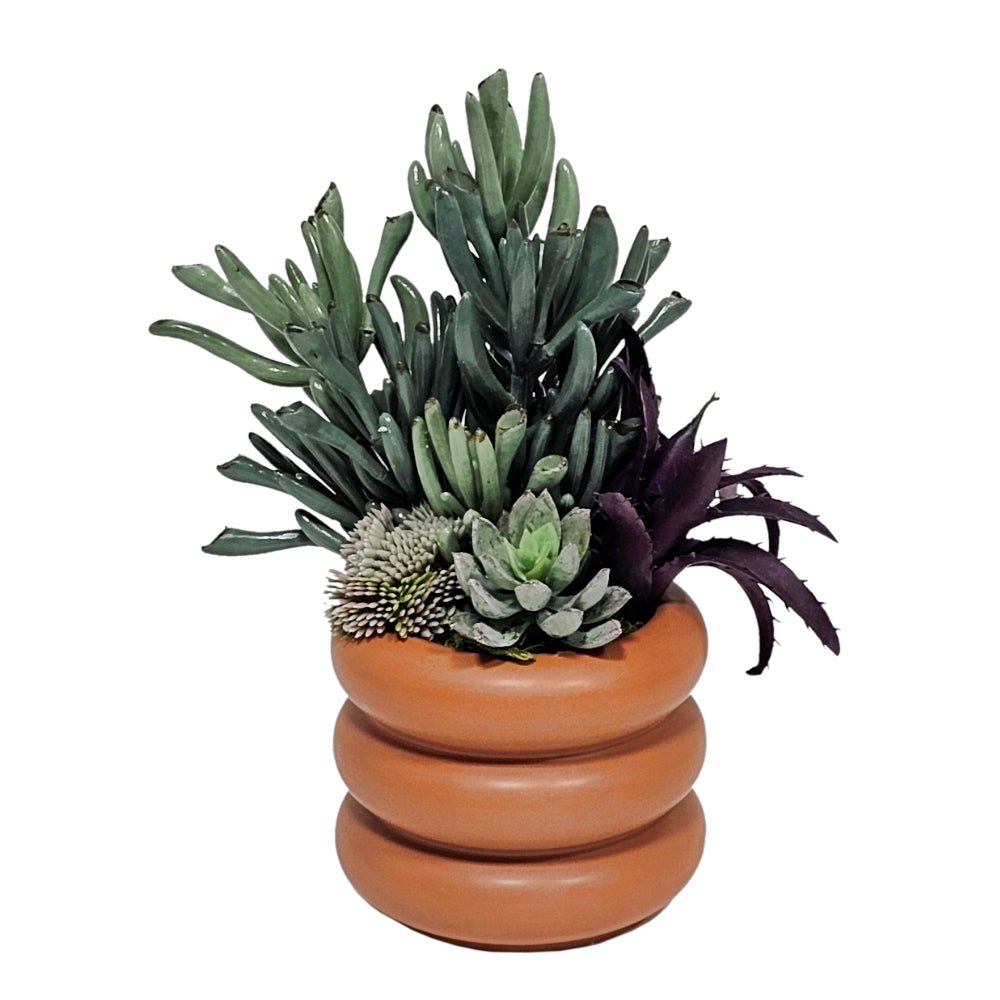 Succulents in Container FH: 9"H - LDF Silk