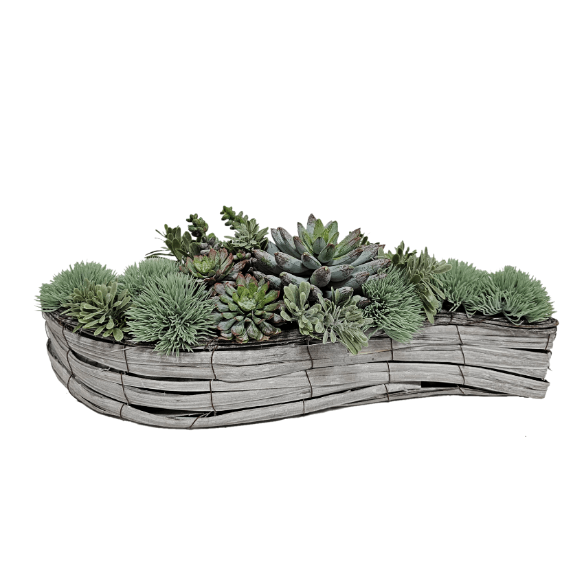 Succulents in Rattan Container FH: 5.5" - LDF Silk