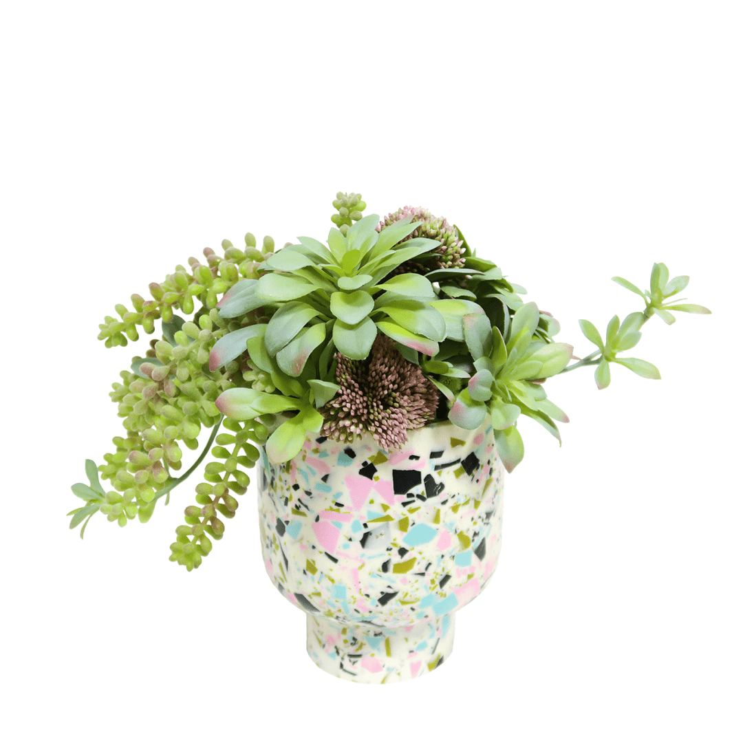 Succulents in Terrazzo 10"H - LDF Silk