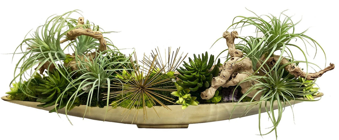 Succulents, Tillandsia, and Grapewood in Boat FH: 18" - LDF Silk