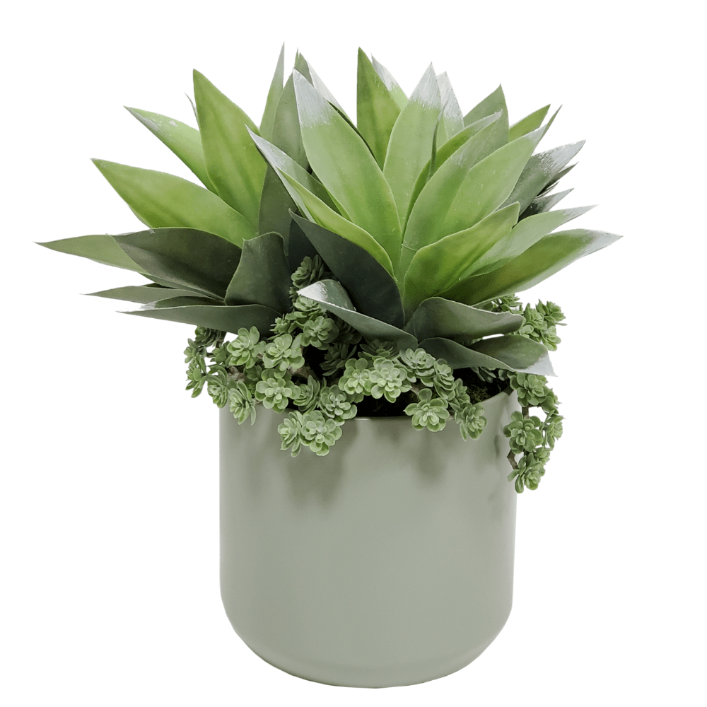 Succulents with Sedum in Ceramic FD: 13"H - LDF Silk