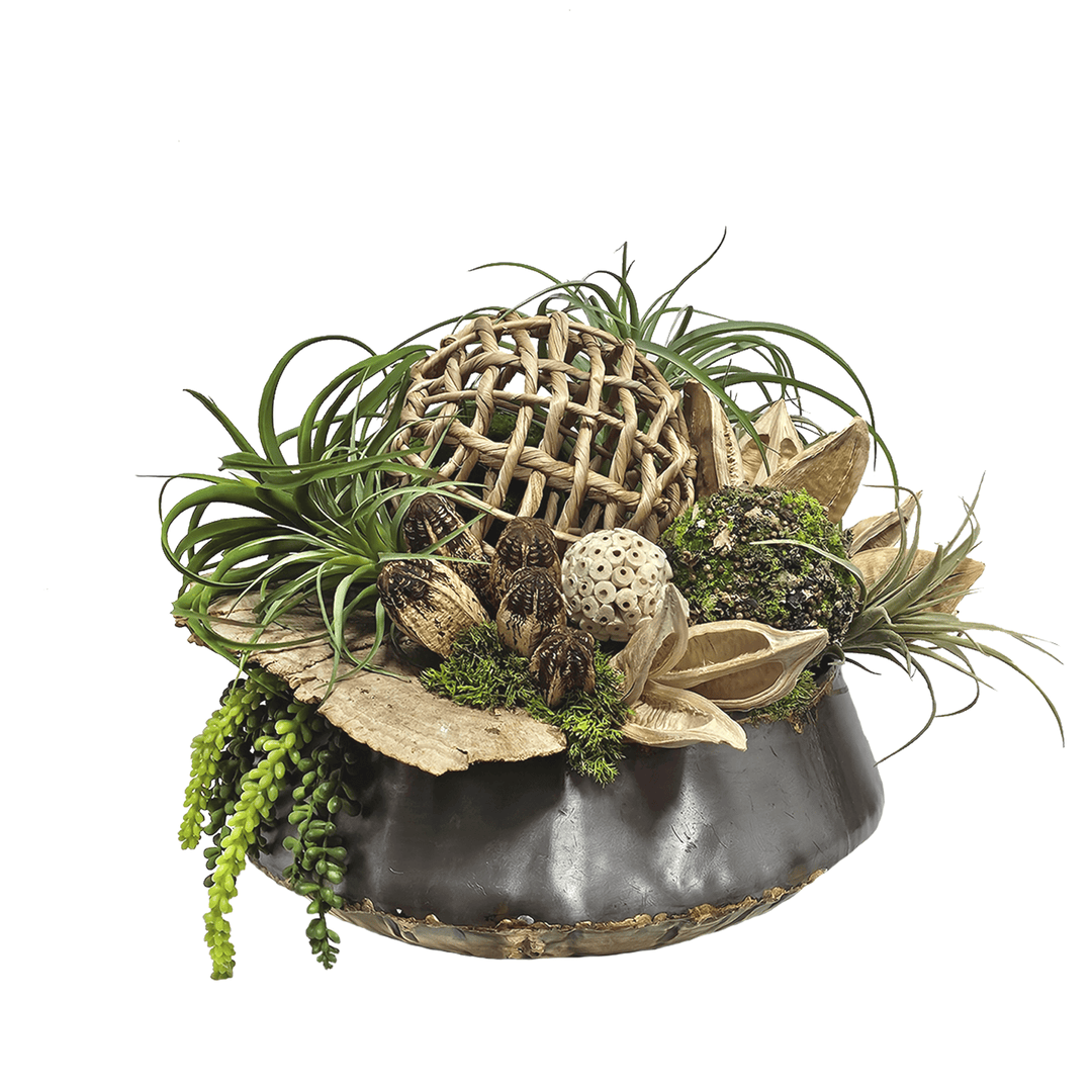 Tillandsia, Mushrooms, Sora pods, and Succulents in Metal Bowl. FH: 14" - LDF SilkArtificial Flora