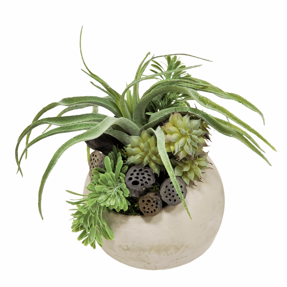 Tillandsia, Succulents and Lotus Pods in Orb 9"H - LDF Silk