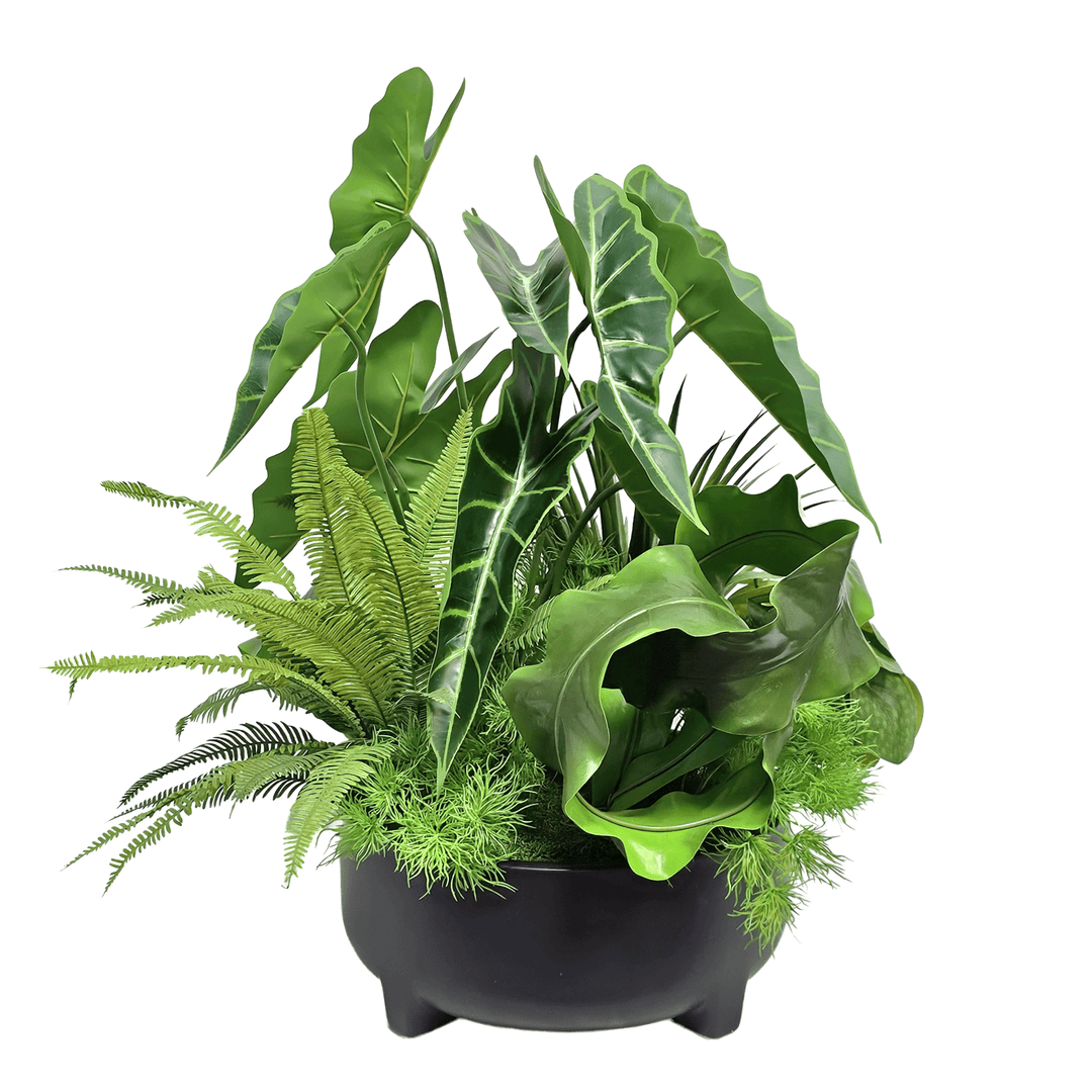 Trout Begonia, Ferns and Yucca in Footed Bowl 24"H - LDF Silk