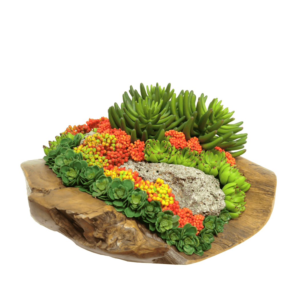Various Succulents and Allium with Pyrite in Teak Bowl 10"H - LDF Silk