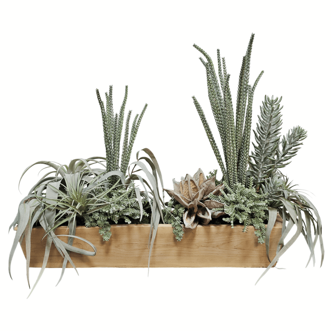 Wheat Grass, Tillandsia, Senecio, Star Pod and Sedum in Wood Planter 32"H - LDF Silk
