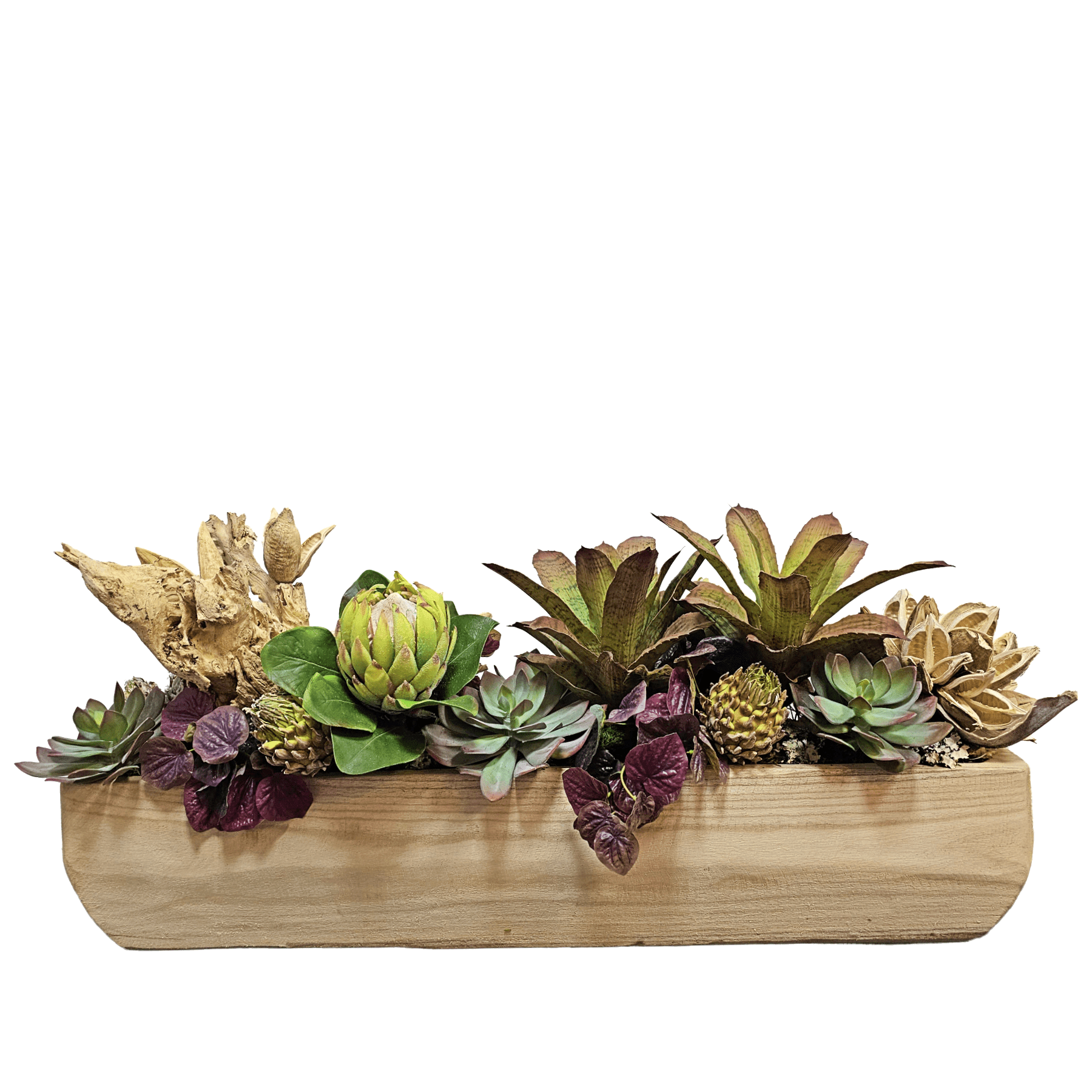specimen succulents Wood Specimen, Succulents, Protea and Sora Pods in Wood Container 20"H