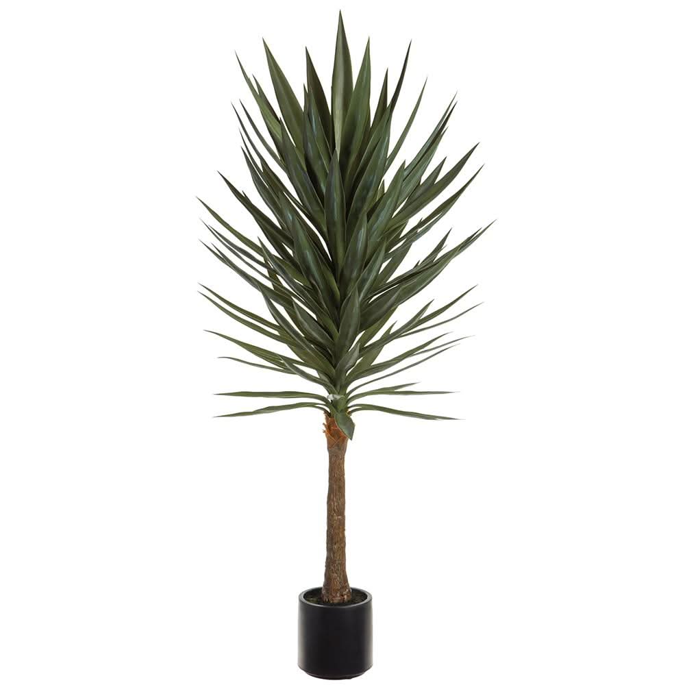 growing yucca plants in pots Yucca Tree in Grow Pot 60"H – LDF Silk