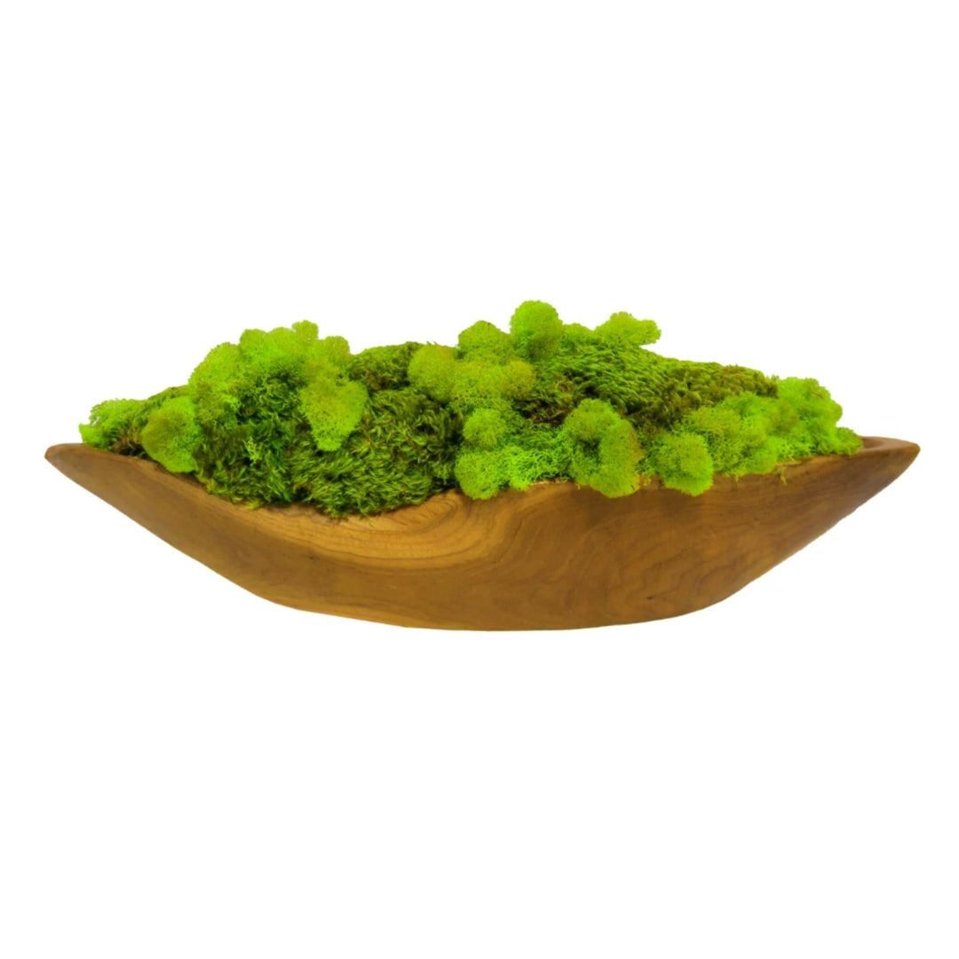 Mixed Mosses in Boat