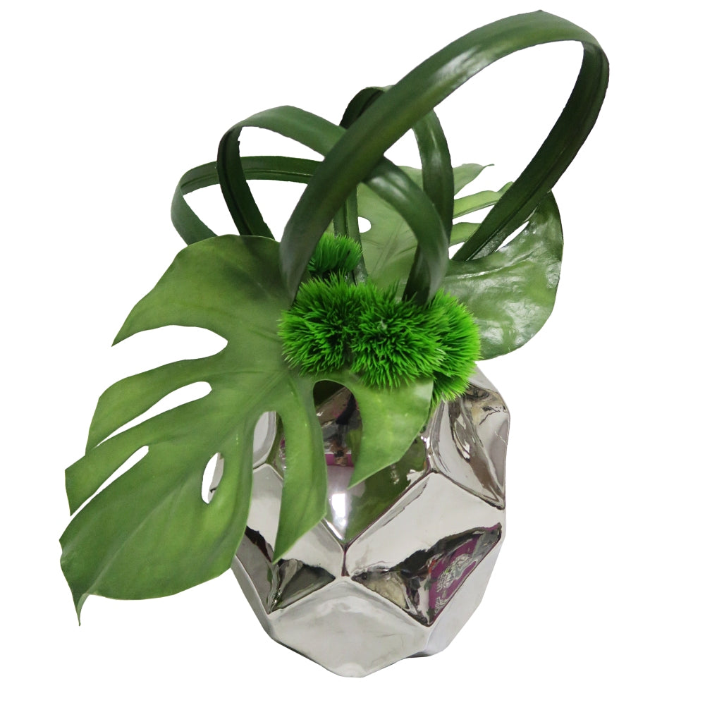 Monstera and Looped Orchid Leaves with Allium Spheres in Ceramic