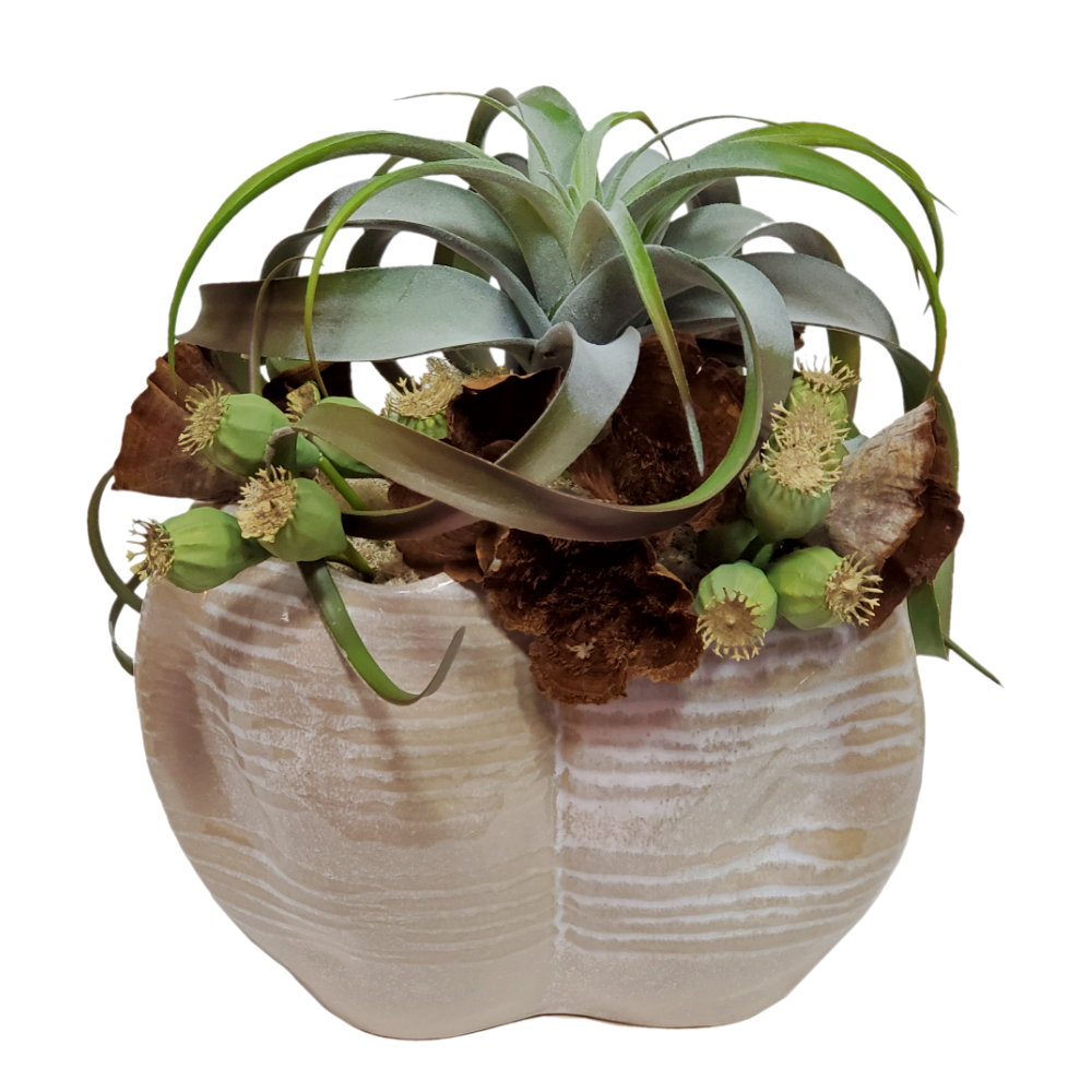 Giant Tillandsia with Pods and Dried Calice in Ceramic 15"H