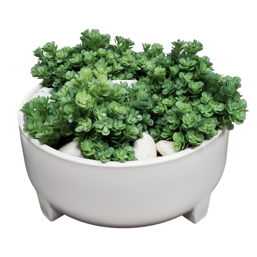 Sedum with River Rocks in Ceramic 9"H