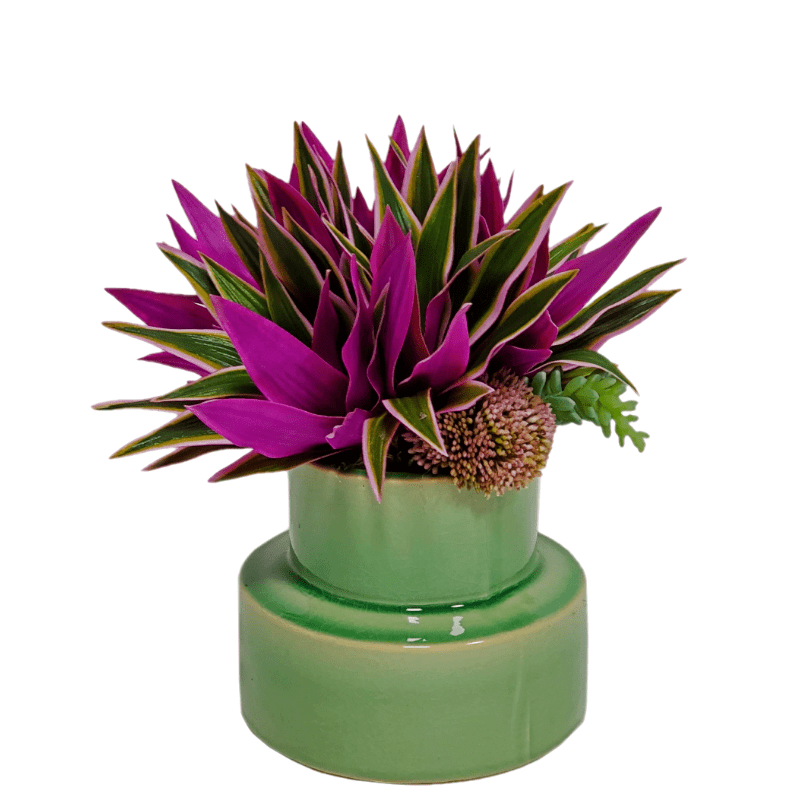 Agave with Sedum in Ceramic 10"H - LDF Silk