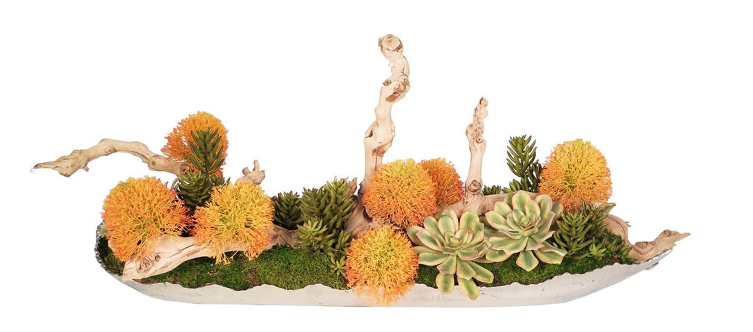 Allium with Mixed Succulents and Grapewood Branches in Tray - LDF SilkSucculent