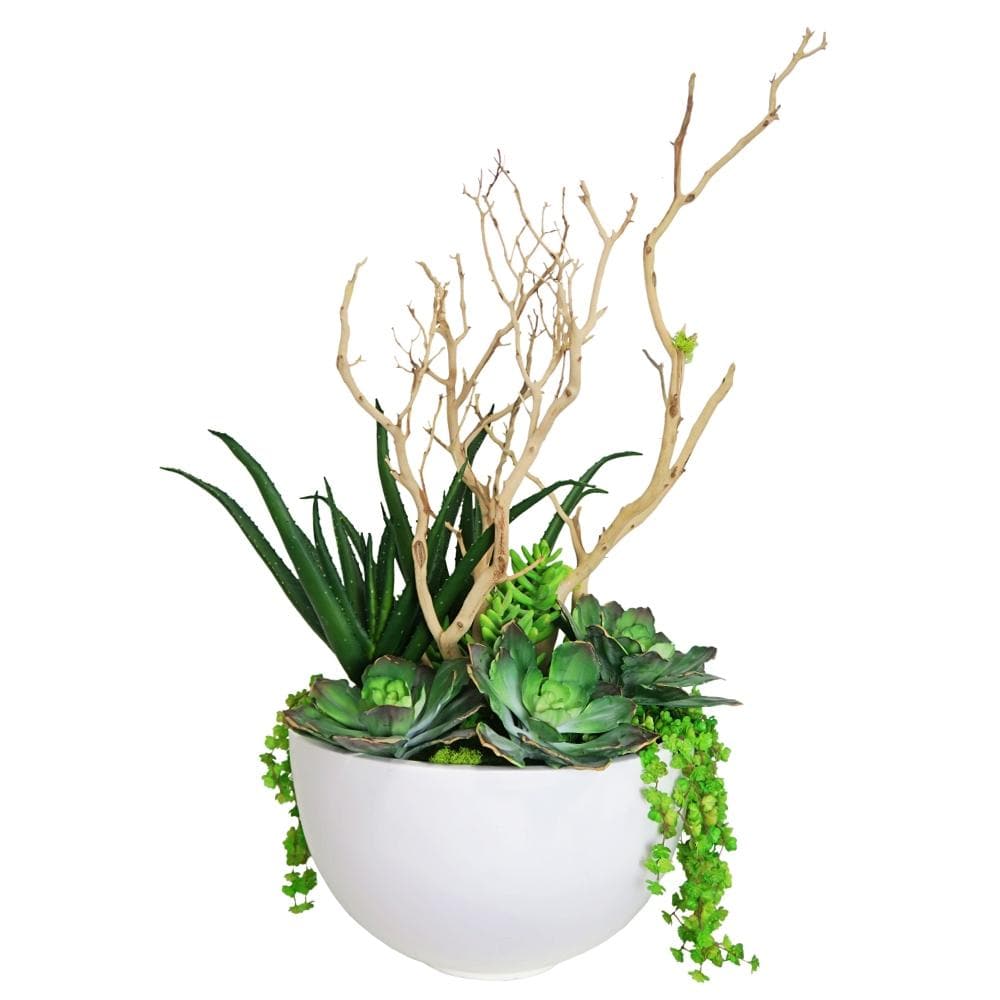 Aloe, Mixed Succulents and Manzanita Branch in Container - LDF SilkSucculent