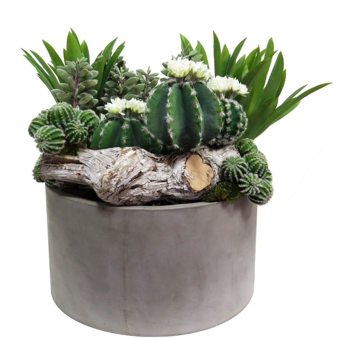 Cactus with Jade and Tall Leaves in Pot 21"H - LDF Silksucculents