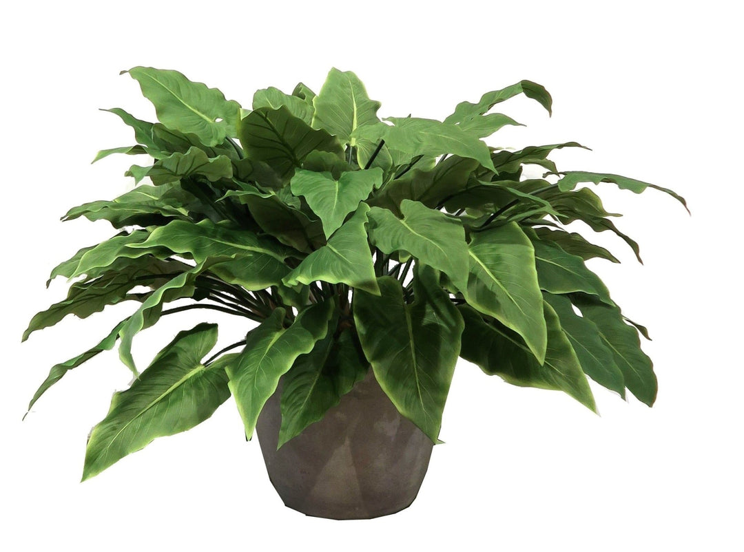 Calla Leaf Bush in Round Container - LDF Silkplants