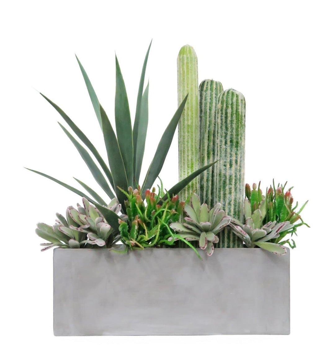 Column Cactus and Yucca in Planter - LDF Silksucculents