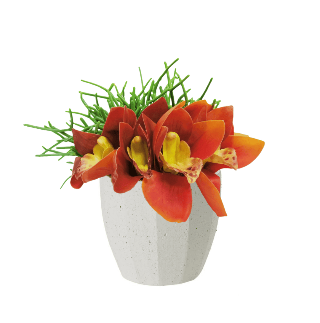 Cymbidium Orchids in Container - LDF SilkForals