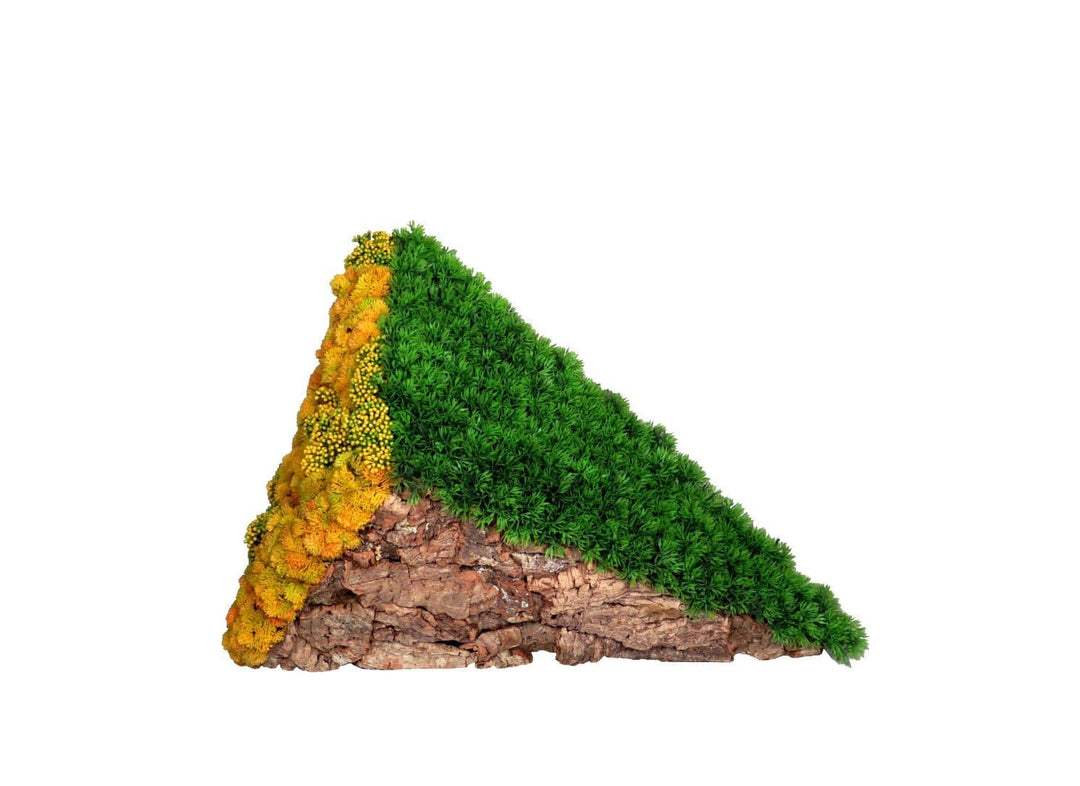 Dimensional Geometric Wall Art Featuring Cork with Grass and Seed Clusters - LDF SilkStatue
