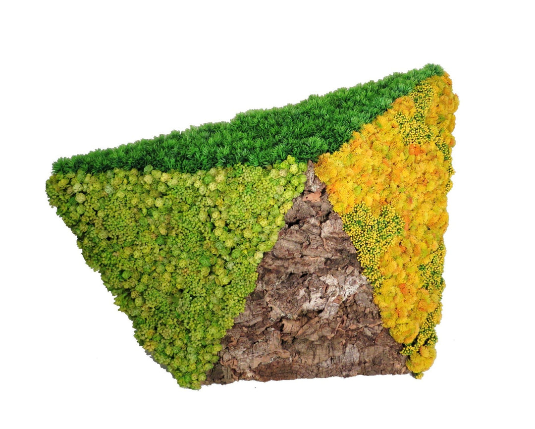 Dimensional Geometric Wall Art Featuring Succulents with Grass and Cork - LDF SilkSucculent