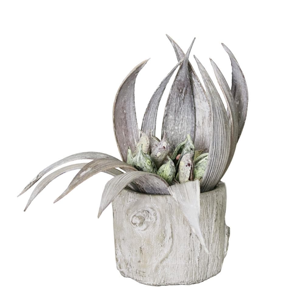 Dried Coco and Eucalyptus Pods in Container - LDF SilkSucculent