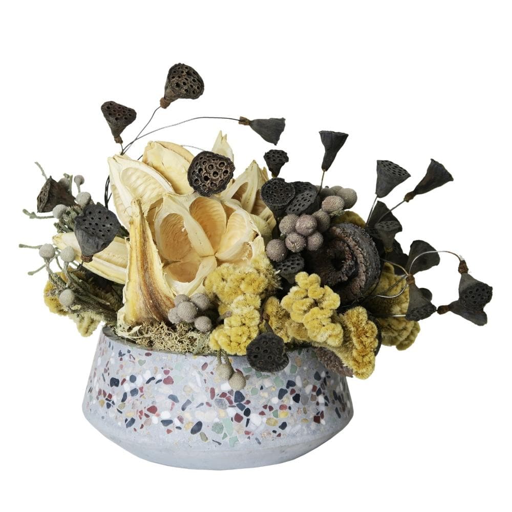 Dried Lotus and Star Pods, Brunia and Coxcomb in Container - LDF SilkForals