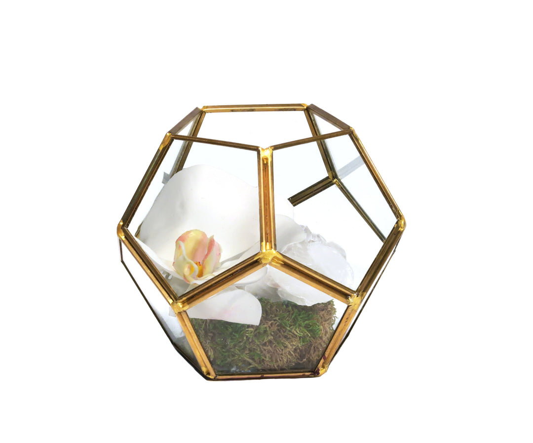 Orchids with Crystal in Glass Display Box