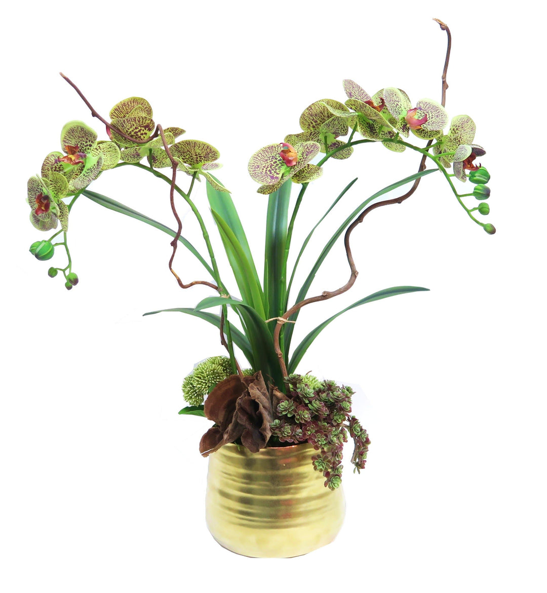 Speckled Orchids and Succulents in Ceramic