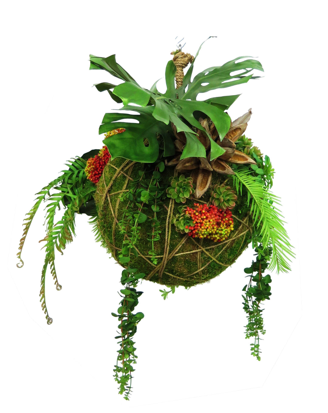 Hanging Moss Orb with Succulents and Leaves on Rope