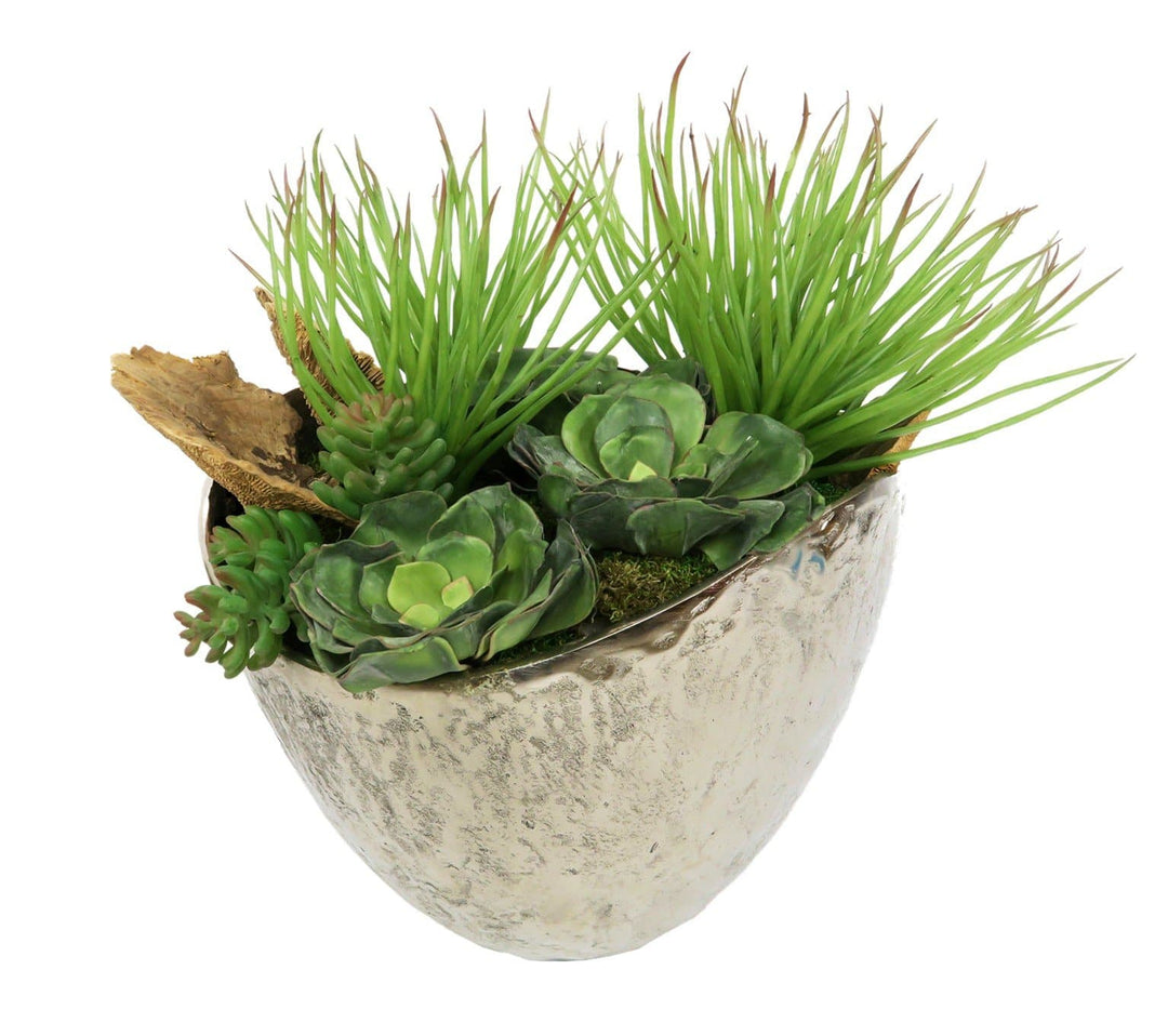 Mixed Succulents and Sponge Mushroom in Bowl