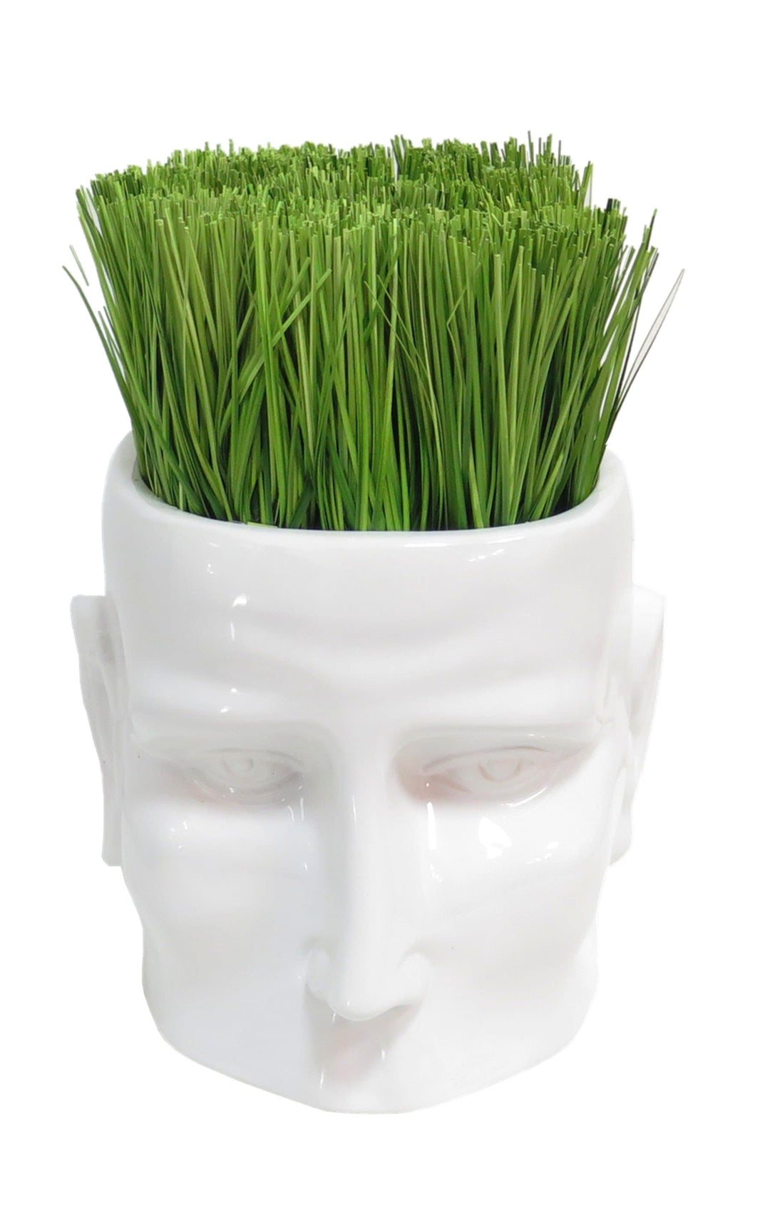 Onion Grass in Vase