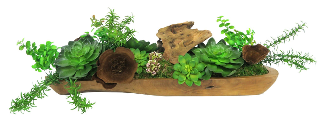 Mixed Succulents with Boxwood Bush and Wood Ear Mushrooms in Tray