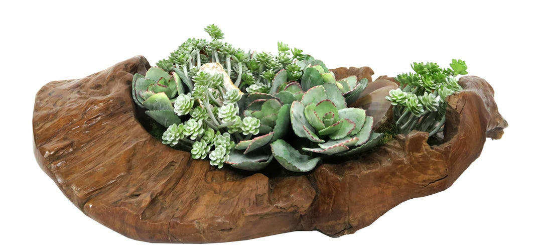 Mixed Succulents with Agate Slices and Geode in Bowl