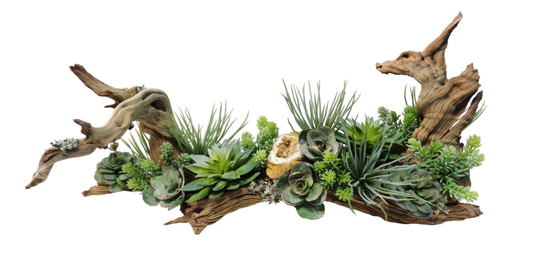 Mixed Succulents with Geodes on Natural Wood Fragment