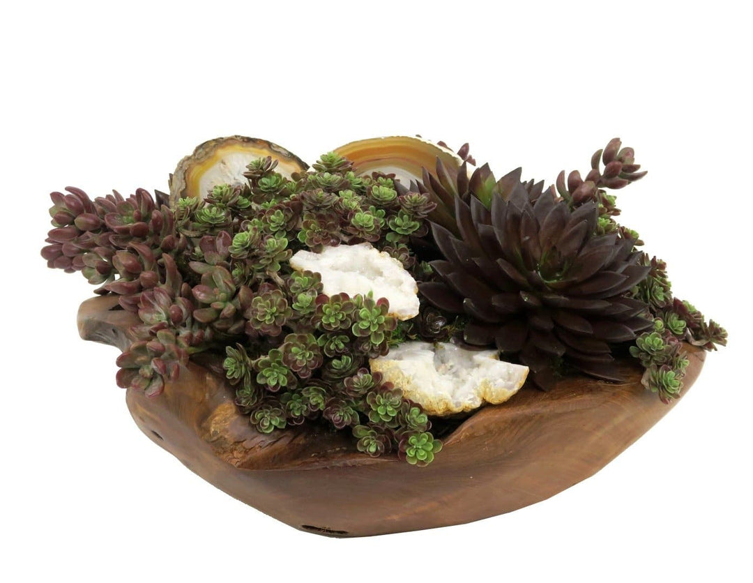 Mixed Succulents with Geodes and Agate Slices in Bowl