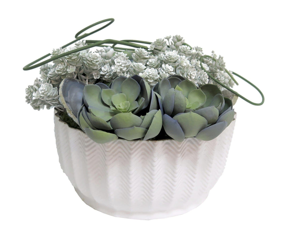 Succulents with Looped Chive in White Ceramic